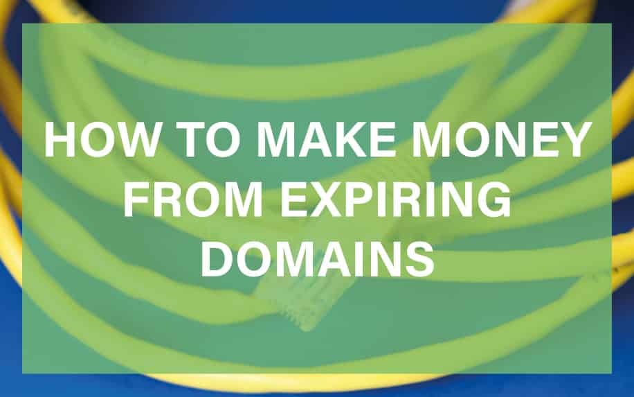 How to Make Money from Expiring Domains: Ultimate 101 Guide