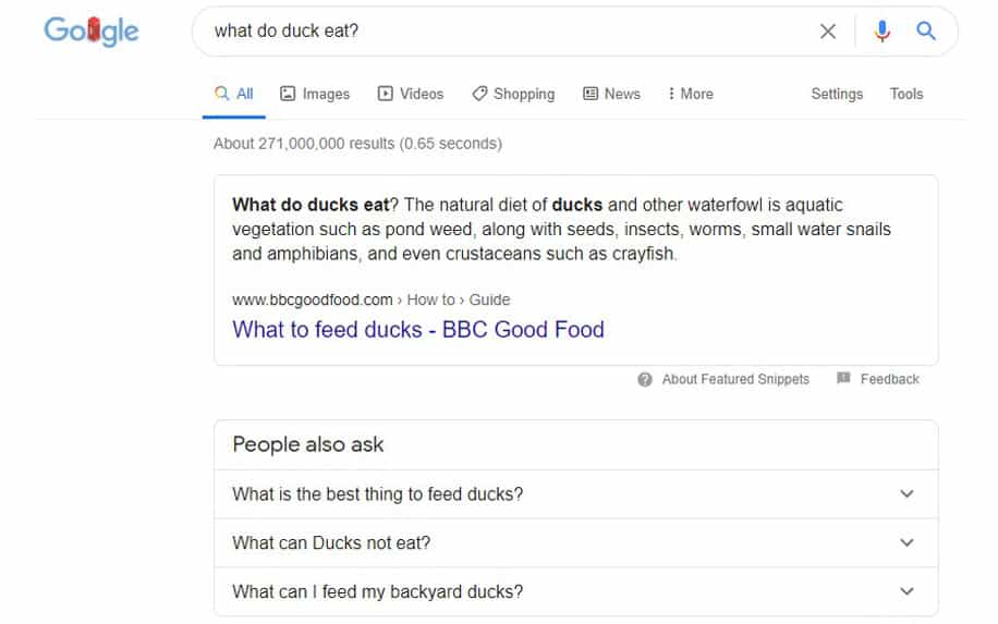 an example of a long tail keyword question "What do ducks eat?" with a featured snippet.