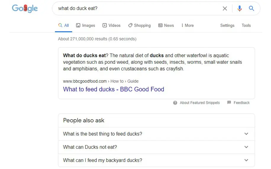 an example of a long tail keyword question "What do ducks eat?" with a featured snippet.