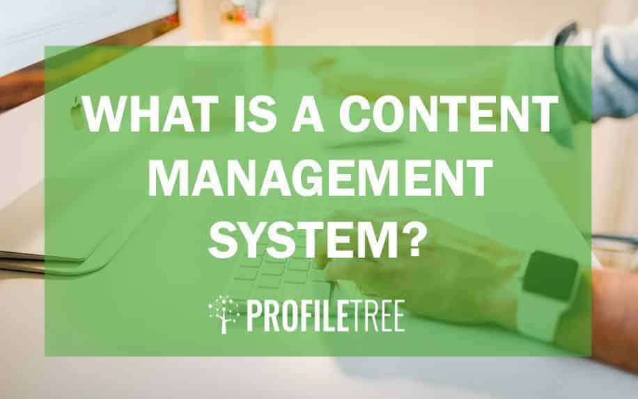 4 Types of Content Management Systems: How To Choose The Right CMS For Your Business