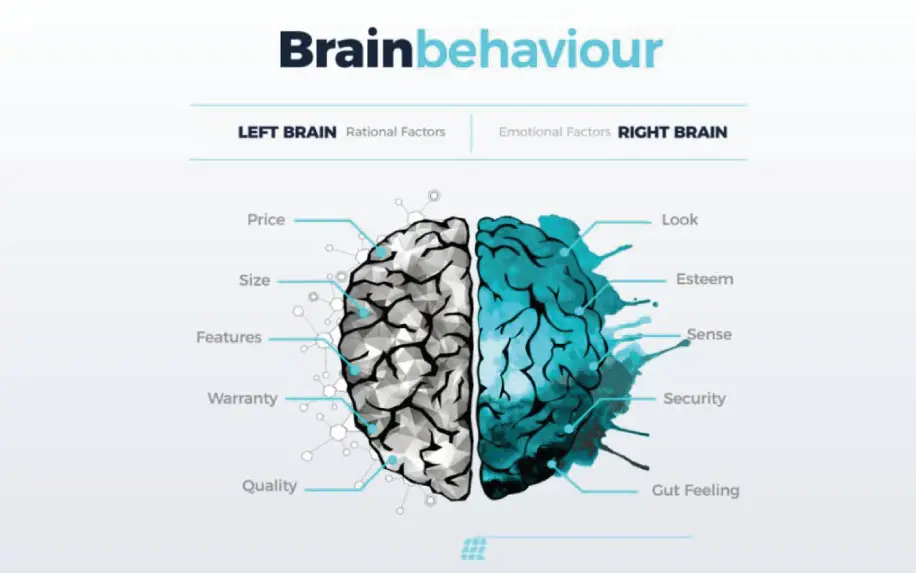 Perceived quality rational and emotional factors