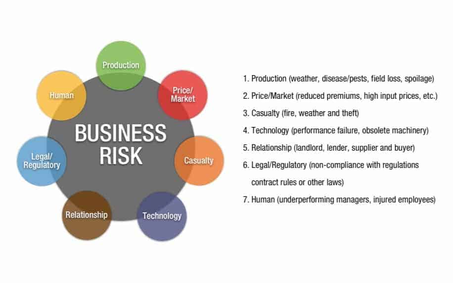 Types of business risk