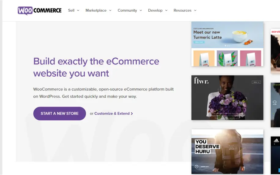 What is a WordPress plugin woocommerce