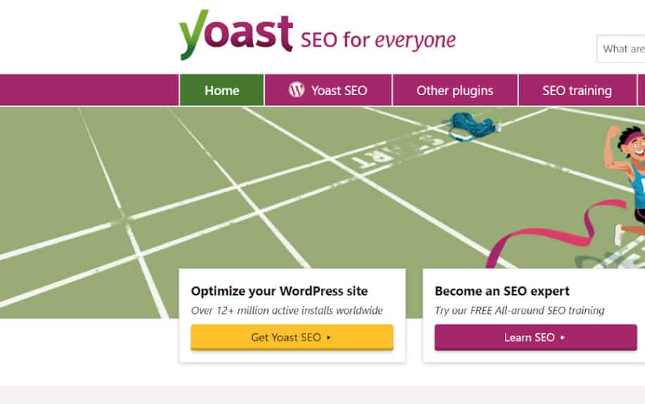 What is a WordPress plugin Yoast example.