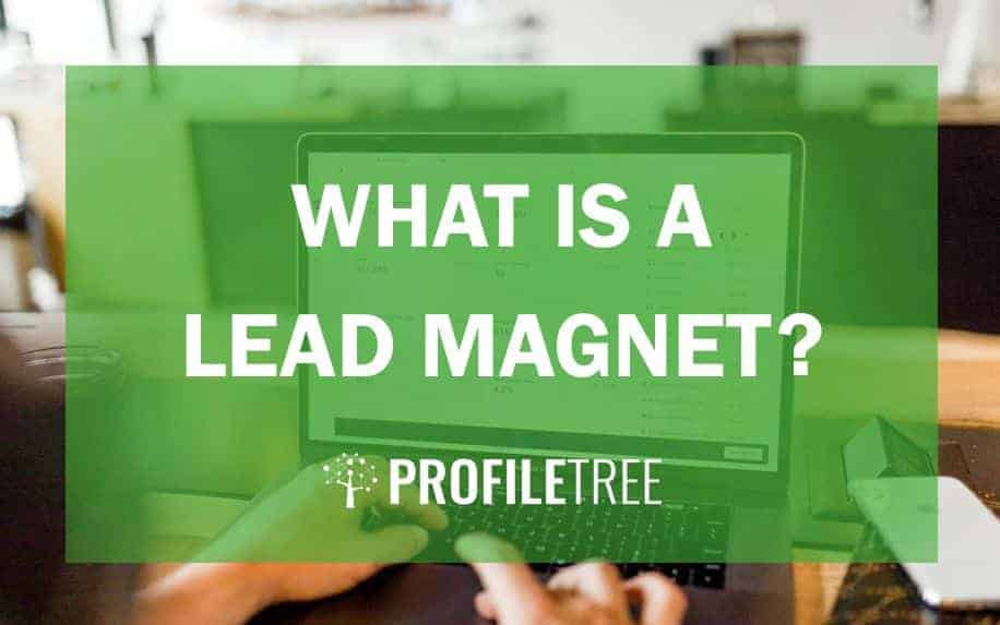 what is a lead magnet?