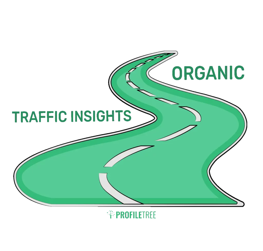 Digital Basics - What Is SEMRush - Organic Traffic Insights