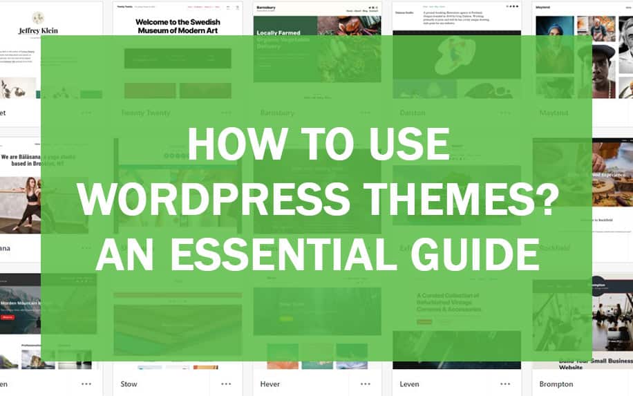 How to Use WordPress Themes? An Essential Guide