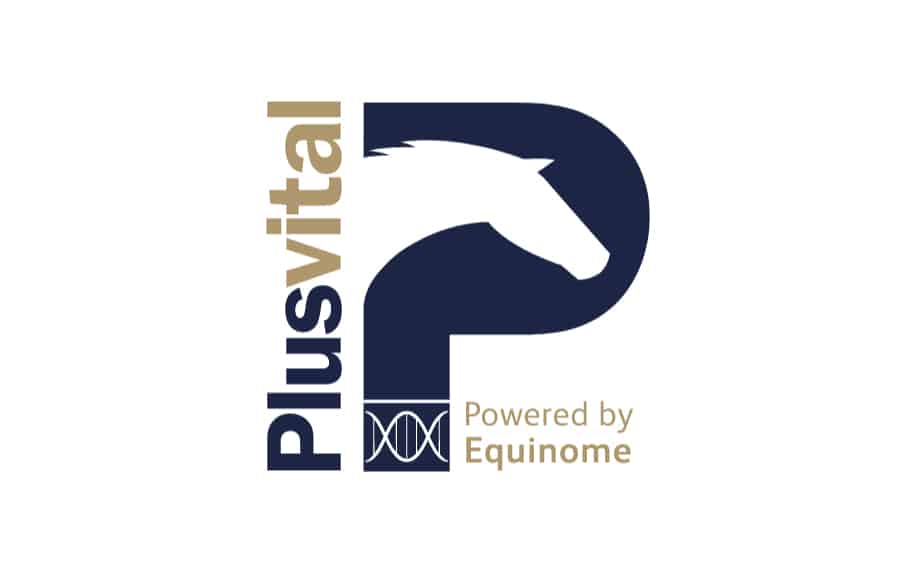 Plusvital logo - Innovation in Business