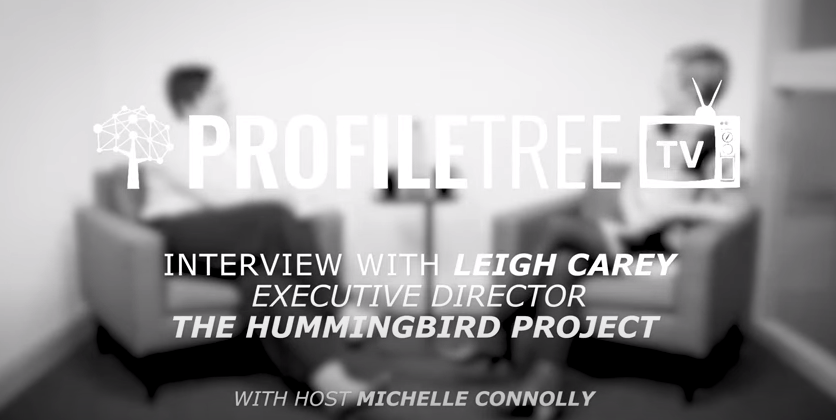The hummingbird project ni: how to build Emotional Wellbeing at Work