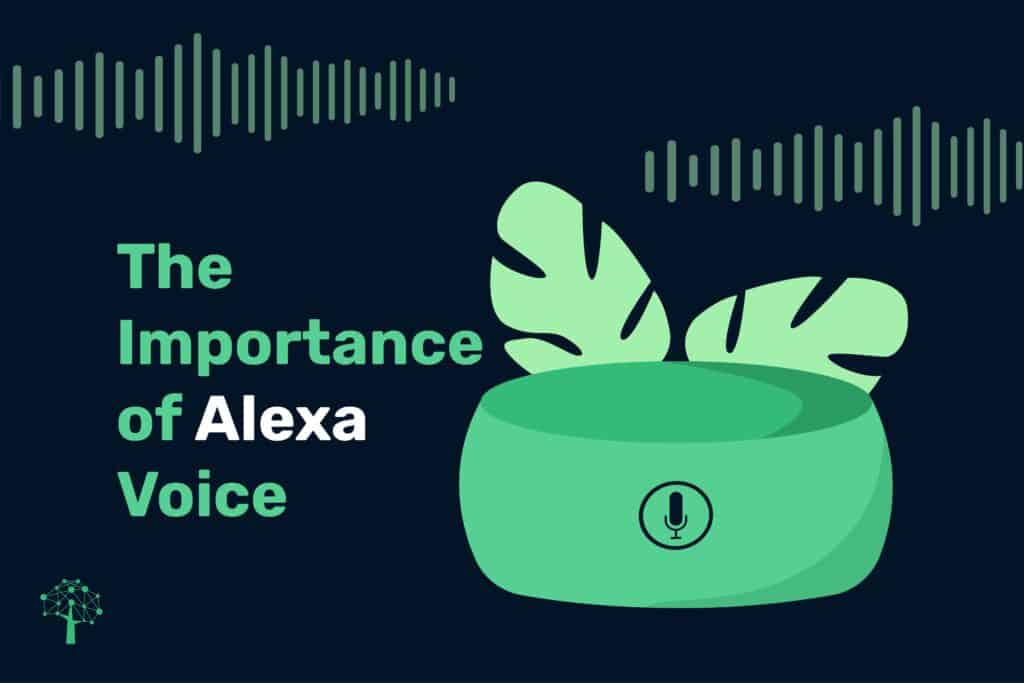 The Importance of Alexa Voice