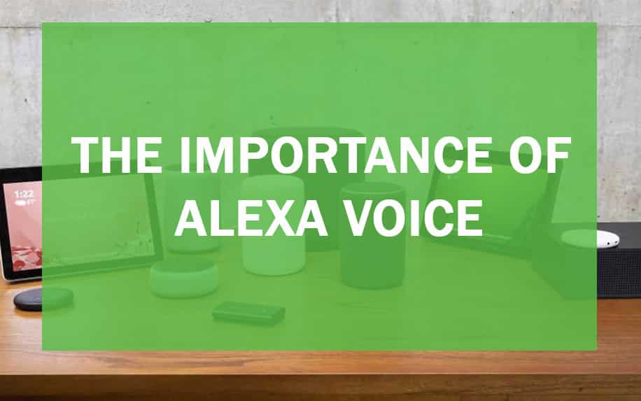 significance of Alexa Voice header image