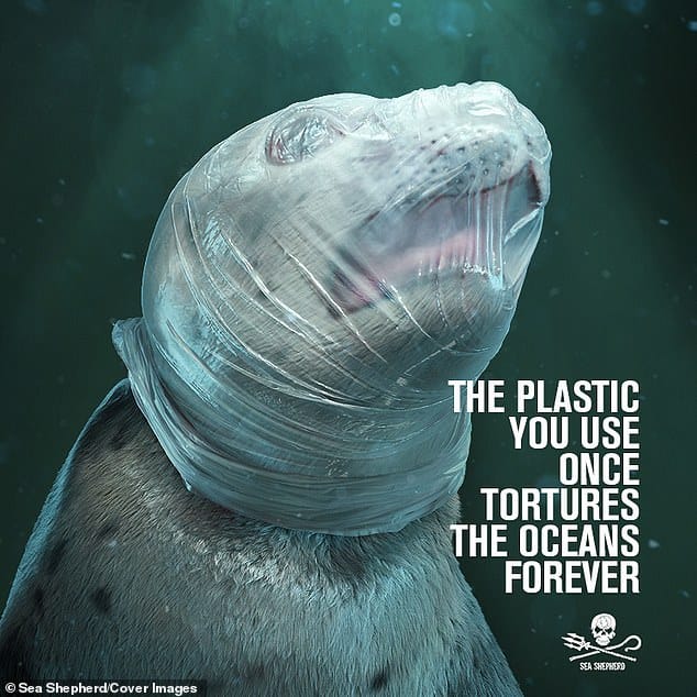 Brand storytelling examples: Plastic awareness campaign