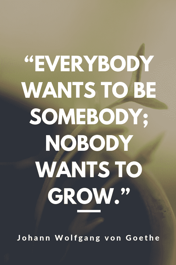 “Everybody wants to be somebody; nobody wants to grow.” - Johann Wolfgang von Goethe