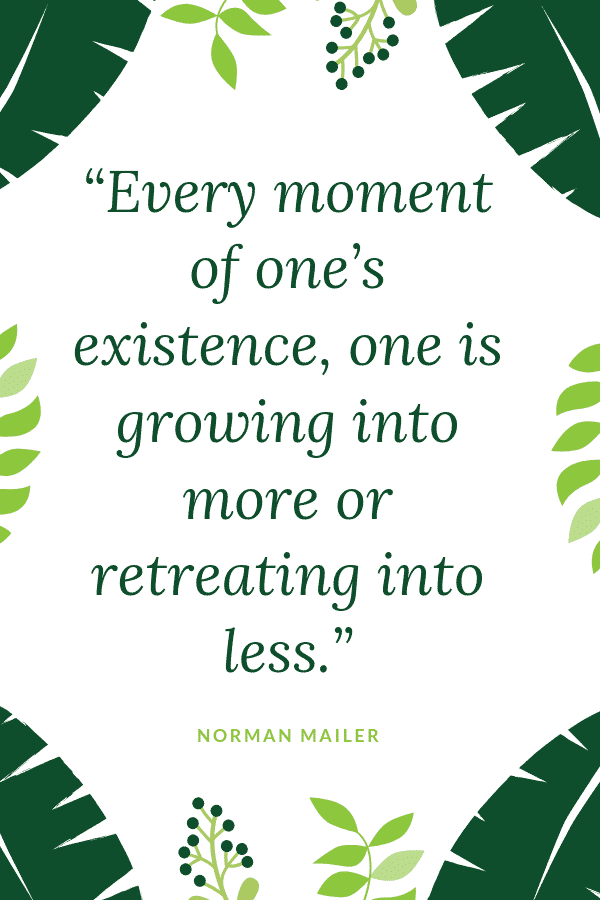 “Every moment of one’s existence, one is growing into more or retreating into less.” - Norman Mailer