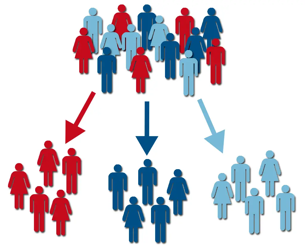 the-4-types-of-customer-segmentation-and-how-to-apply-them-profiletree