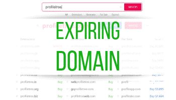 What is an Expiring Domain?