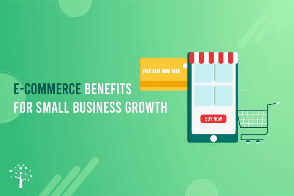 E-Commerce Benefits for Small Business Growth