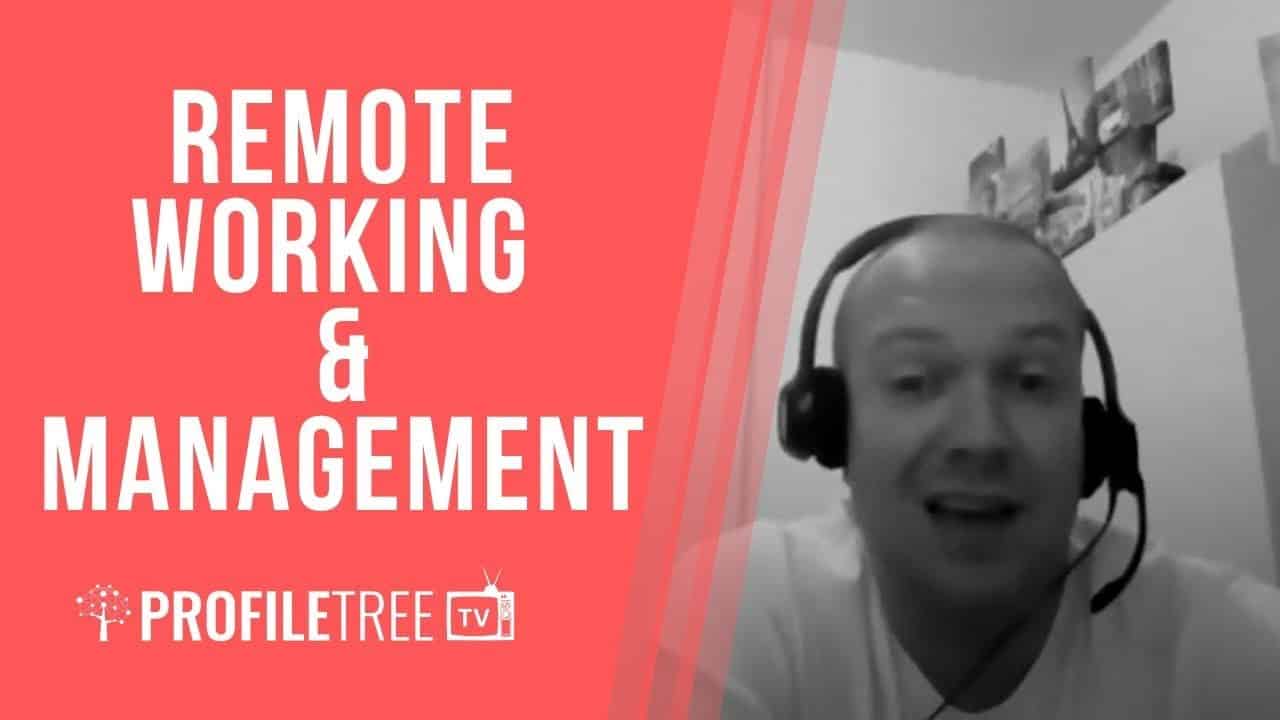 Remote Working with Antonie Geerts