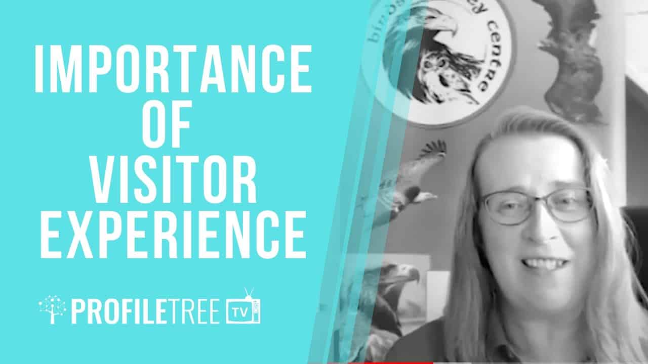 Visitor Experience with Nuala Mulqueeney
