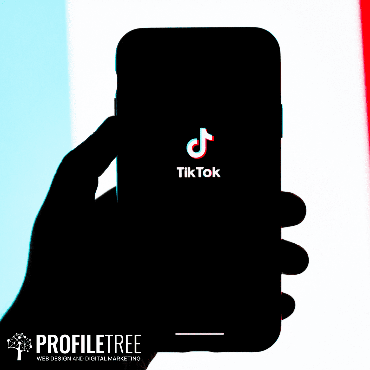 Kinziboo's TikTok Success Story: A Linktree Connection