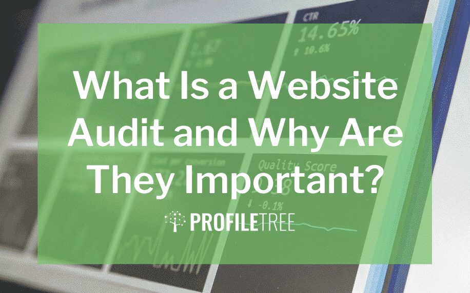 image for the what is a website audit and why are they important blog