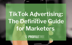 image for the tiktok advertising: the definitive guide for marketers blog
