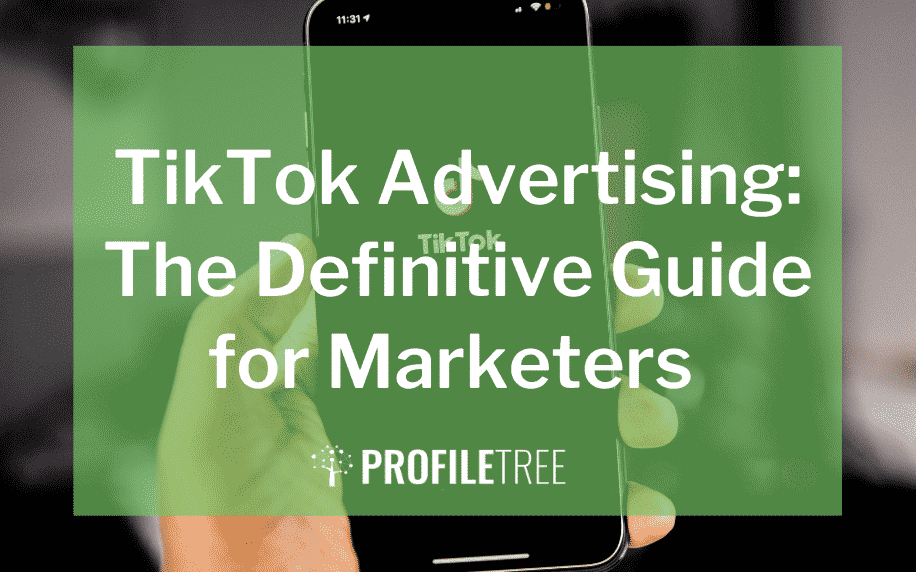 TikTok Ads: The Complete Guide for Businesses and Brands with Examples -  NoGood™: Growth Marketing Agency