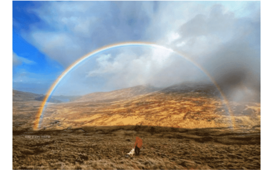 @niexplorer image of rainbow over field