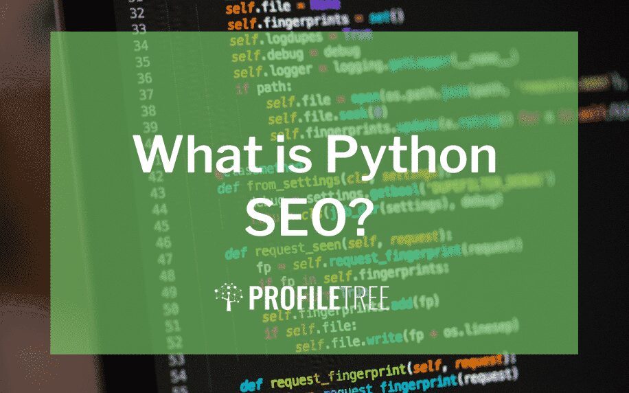 image for what is python seo blog
