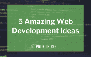 image for 5 amazing web development ideas