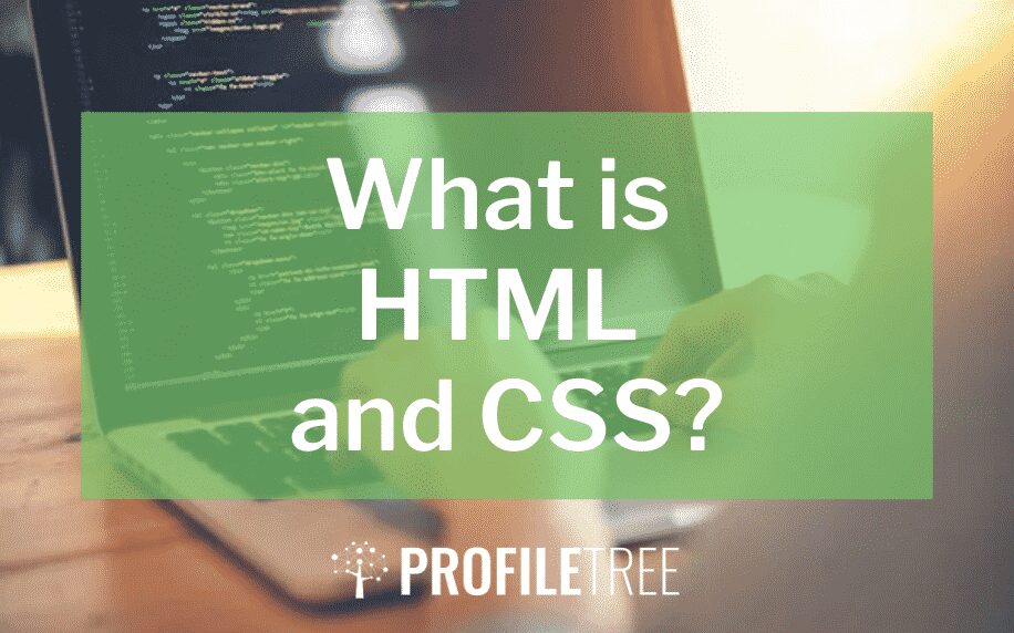 What is HTML and CSS?