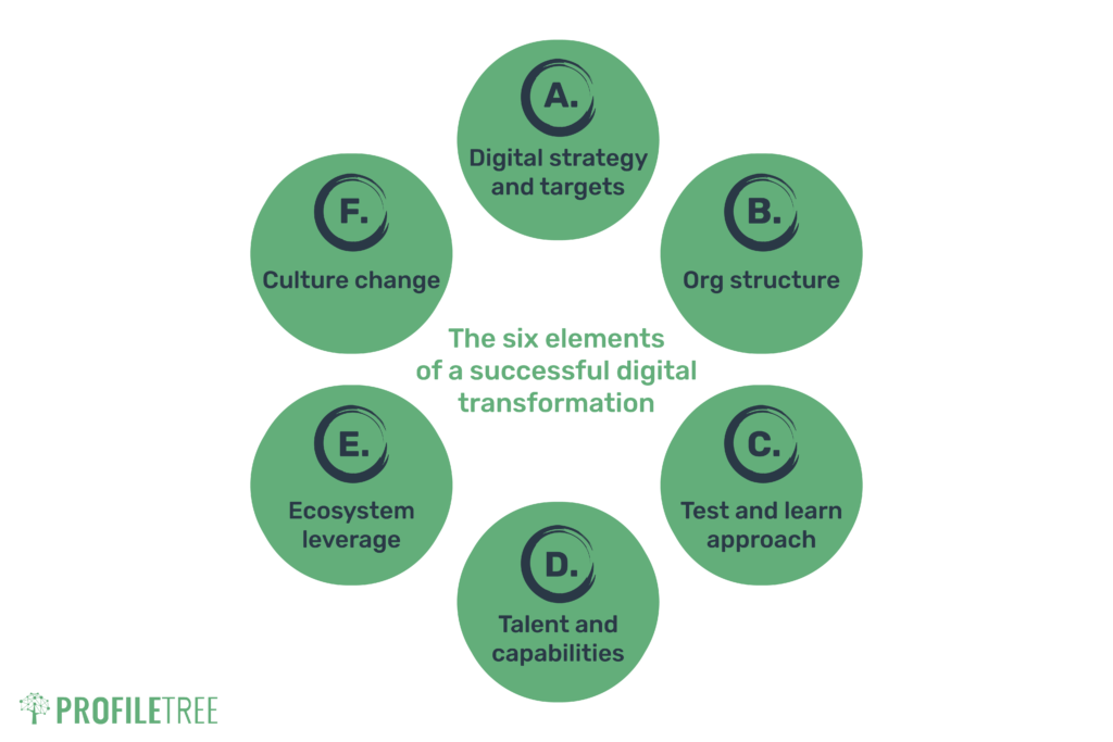 The McKinsey six step model