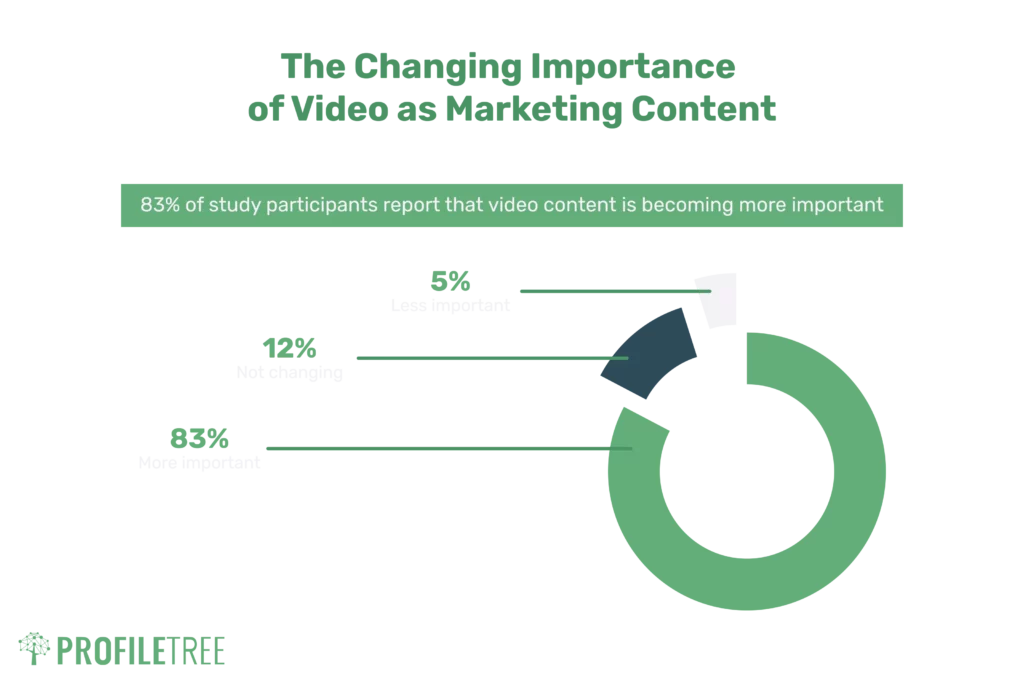 How to Produce and Edit Video for Tourism Businesses 1