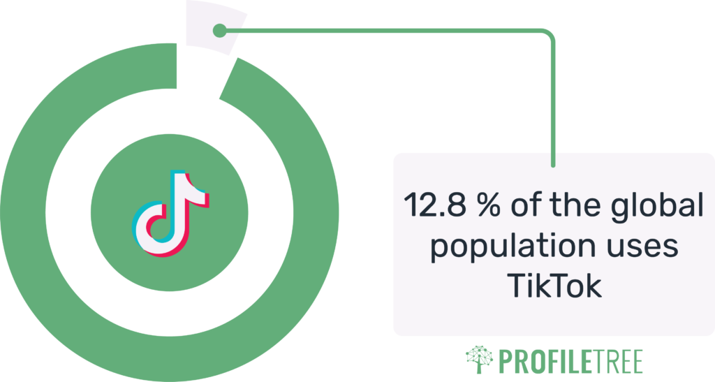 TikTok Marketing Statistics