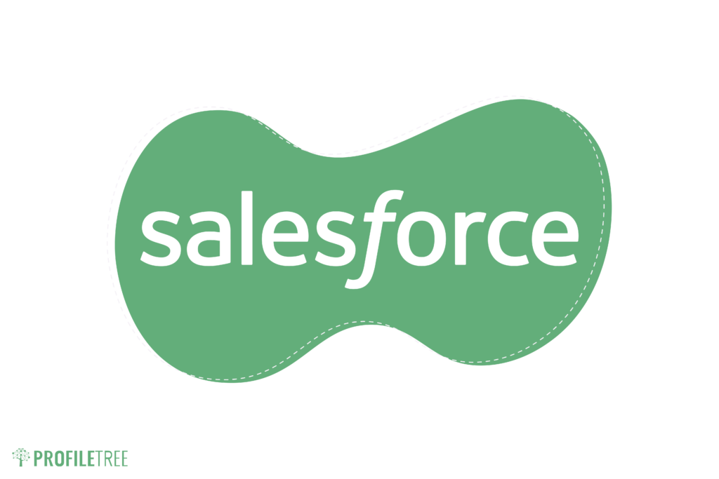 Salesforce CRM System