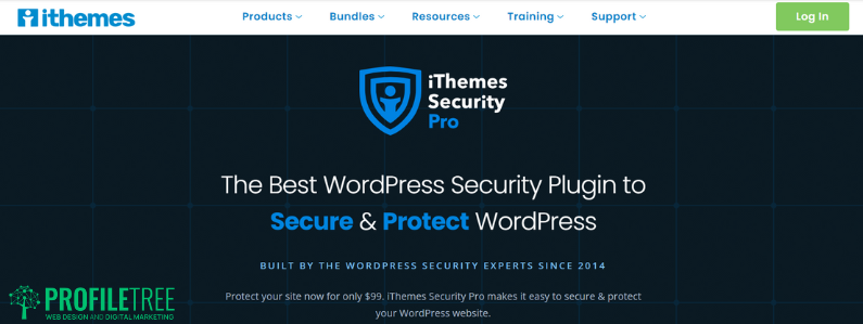 Website Audit - iThemes Security Pro
