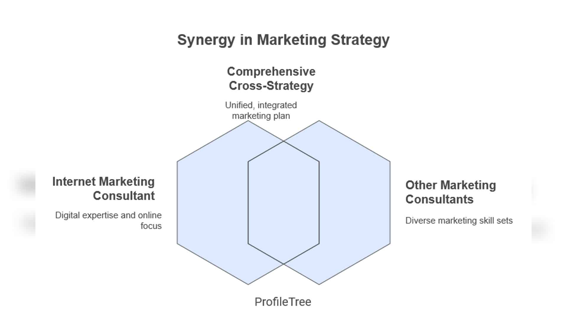 Marketing Consultant
