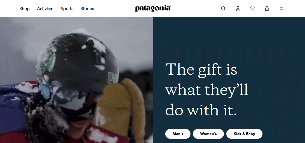 Sustainable Business Examples | Patagonia