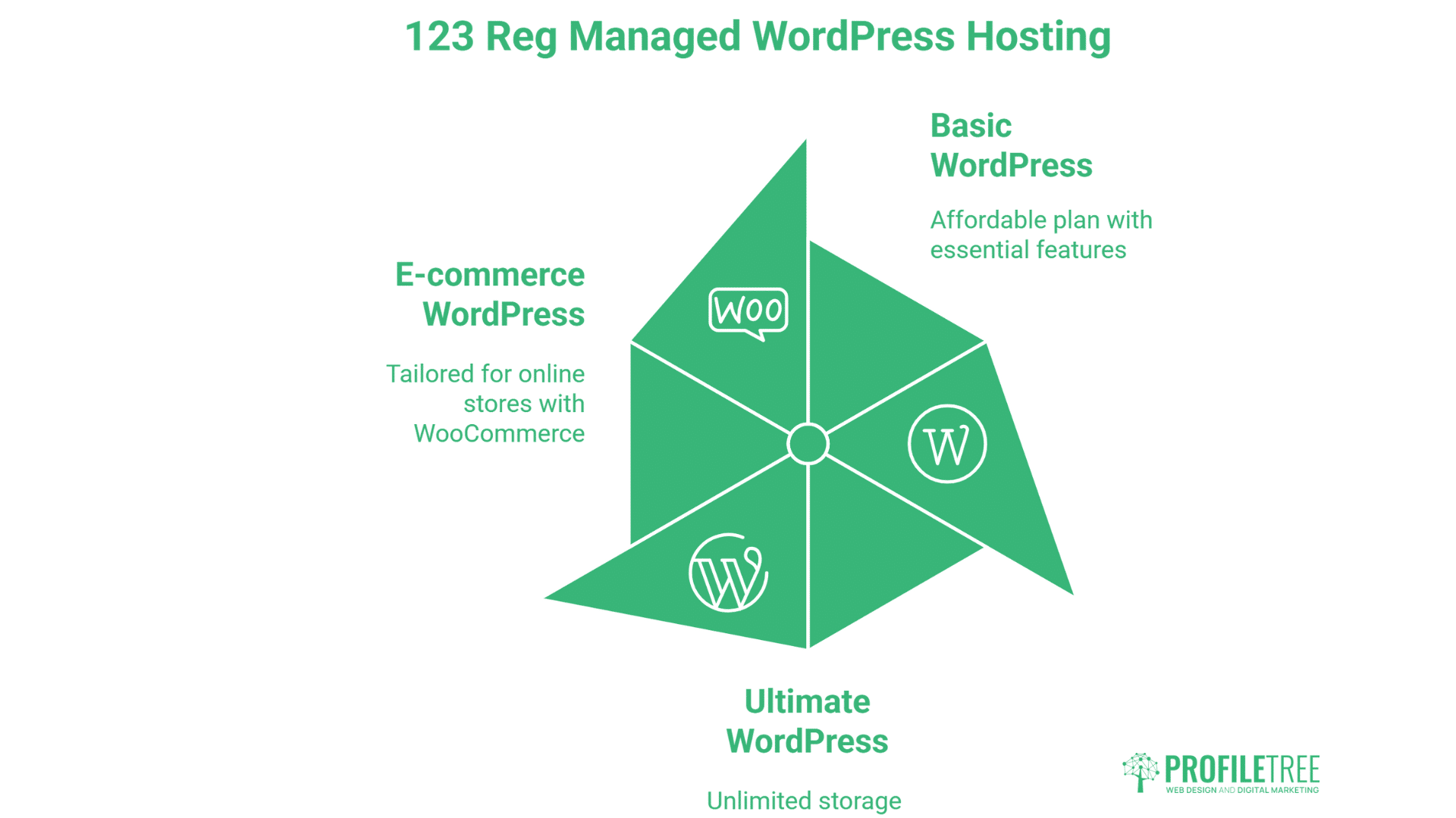 Infographic showing 123 Reg Hosting Managed WordPress options—Basic (affordable plan), E-commerce (for online stores), and Ultimate (unlimited storage)—each with related icons. Discover the flexibility of 123 Reg for your website needs.
