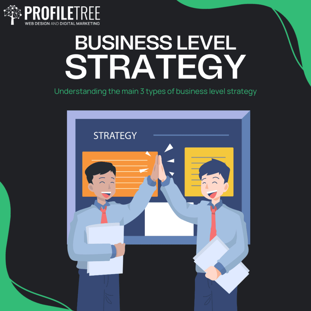 What is business level strategy? 3 key types