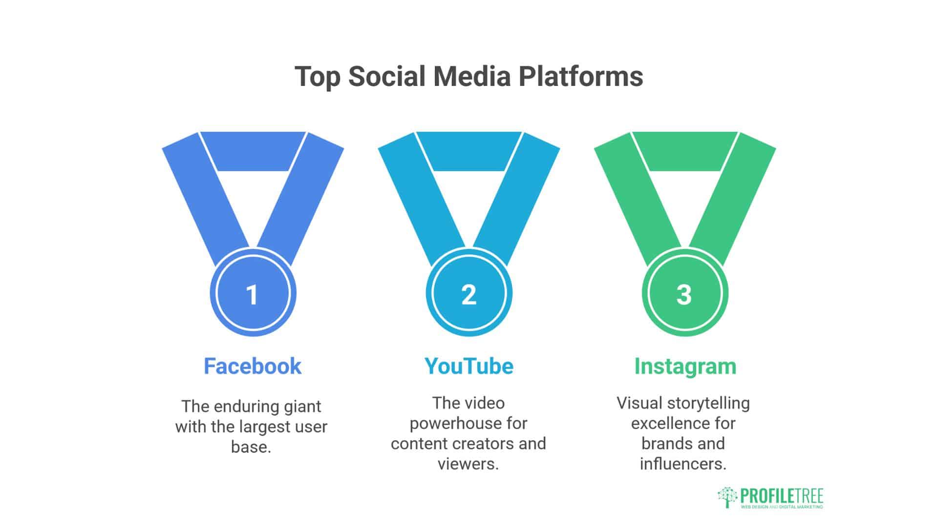 Most Used Social Media