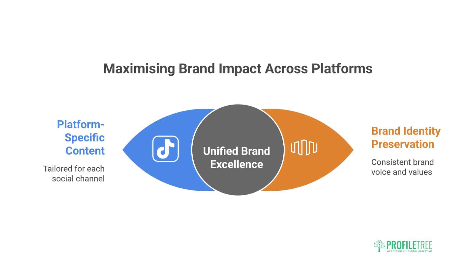 Most Used Social Media