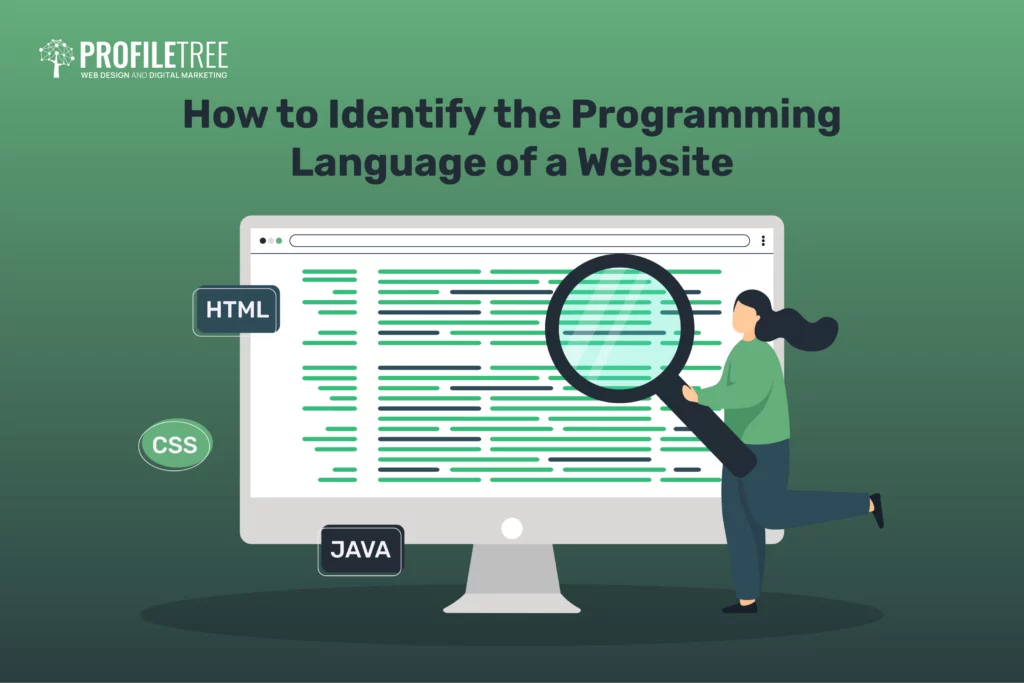 How to Identify the Programming Language of a Website