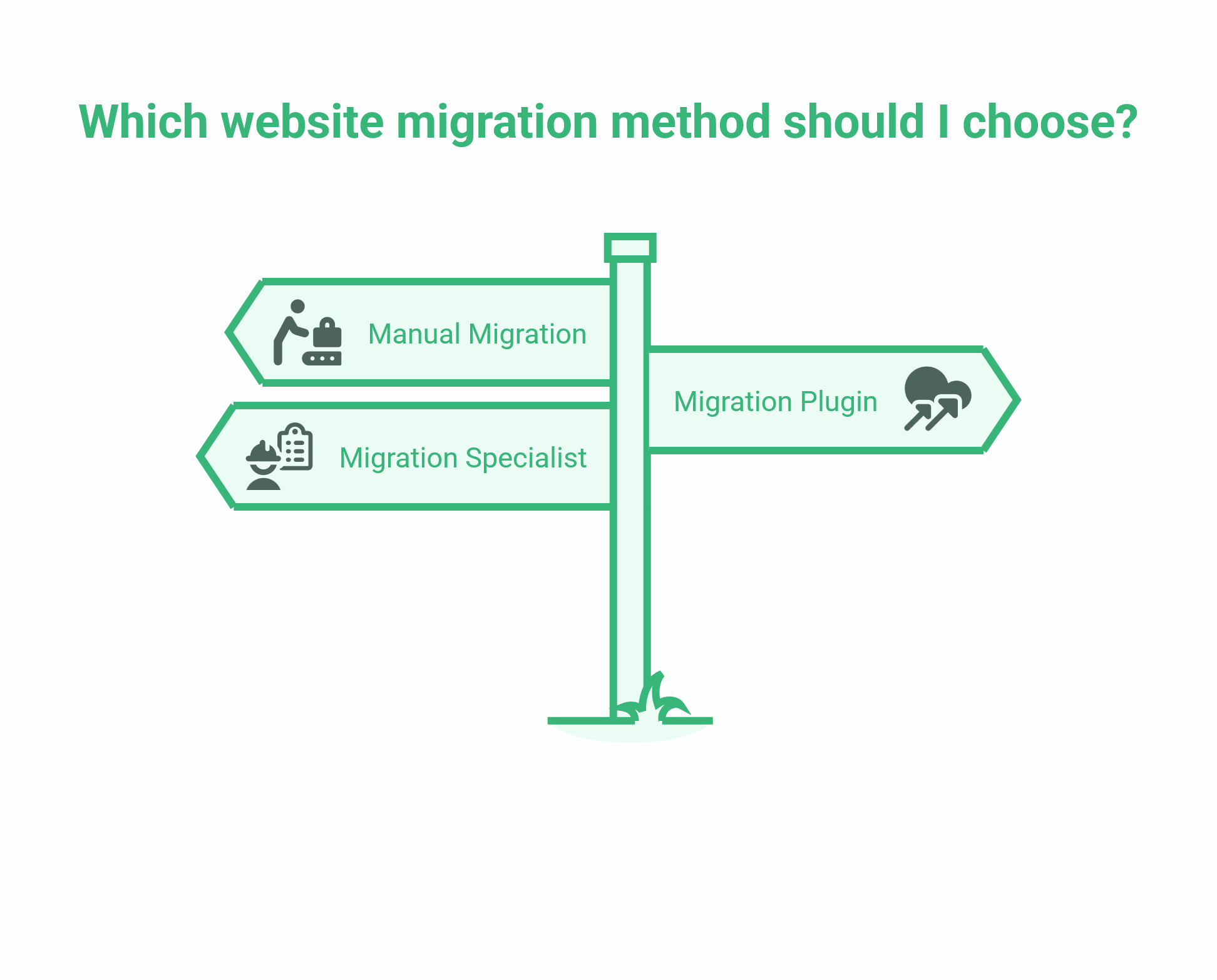 Website Migration