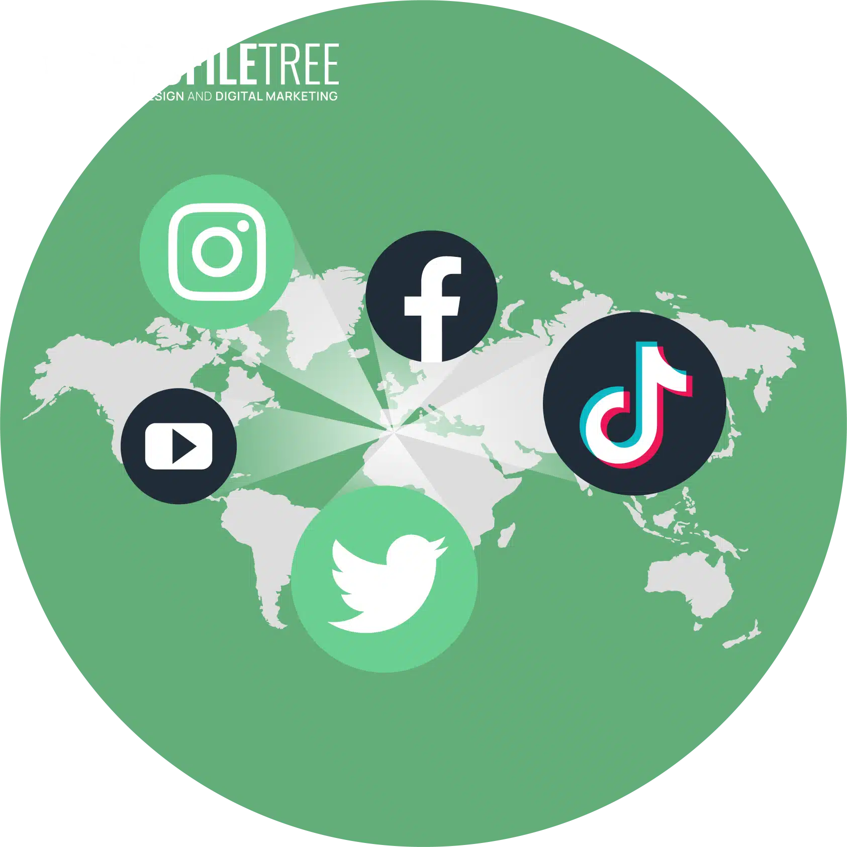 Social Media Platforms User