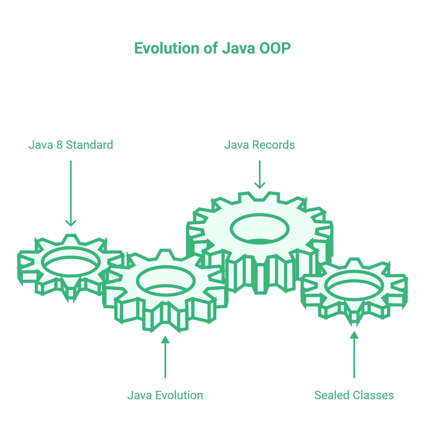 Java Object-Oriented Programming 