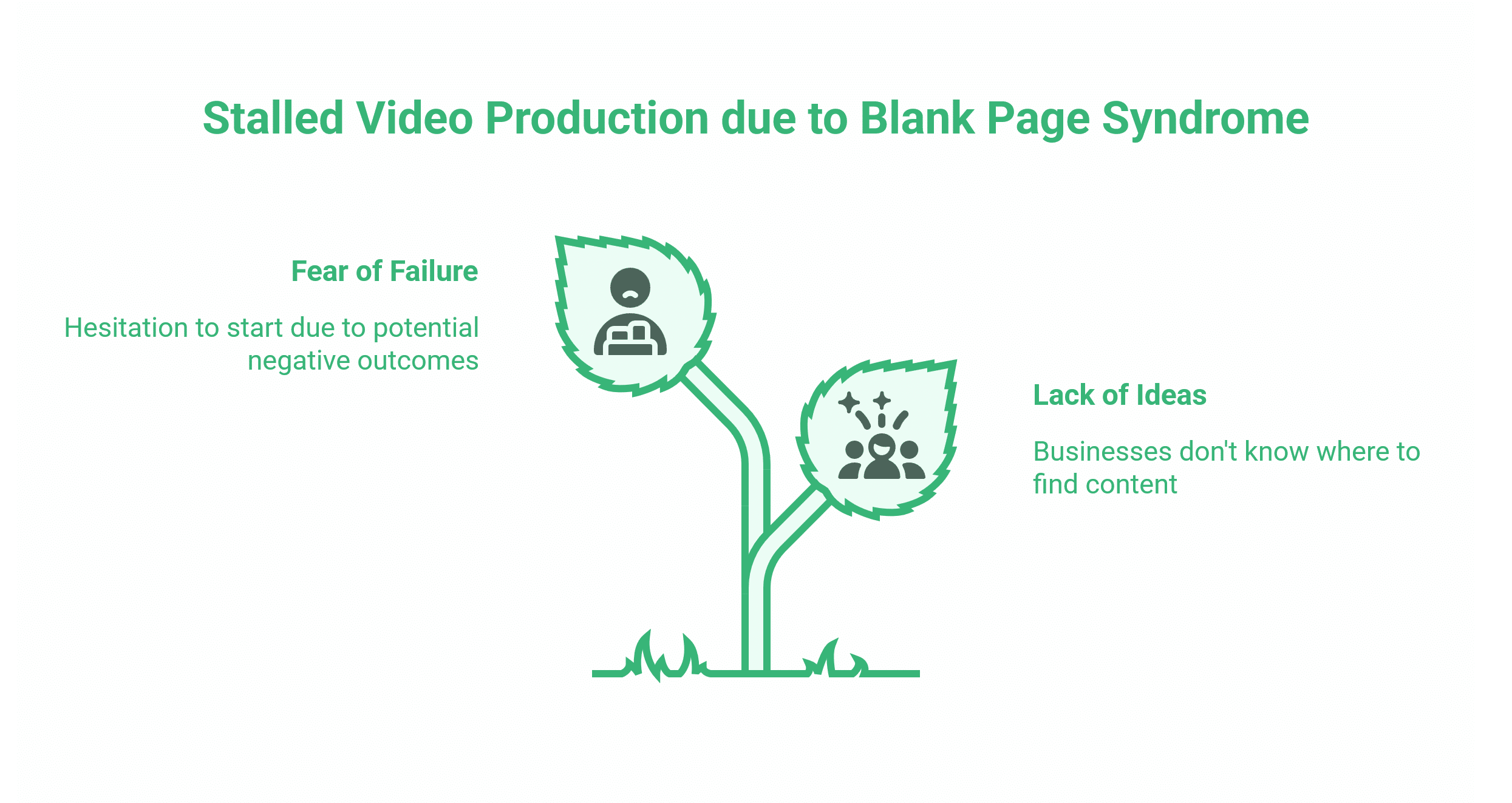 Social Media Video Content