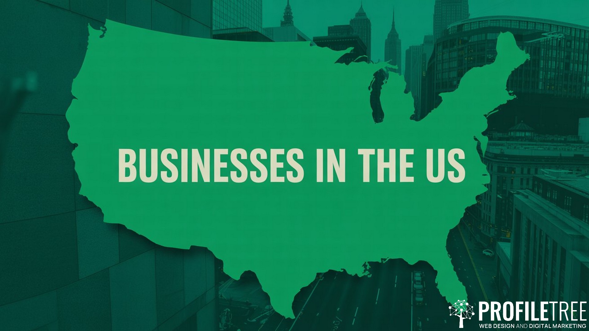 Statistics of US Businesses, Businesses in the US