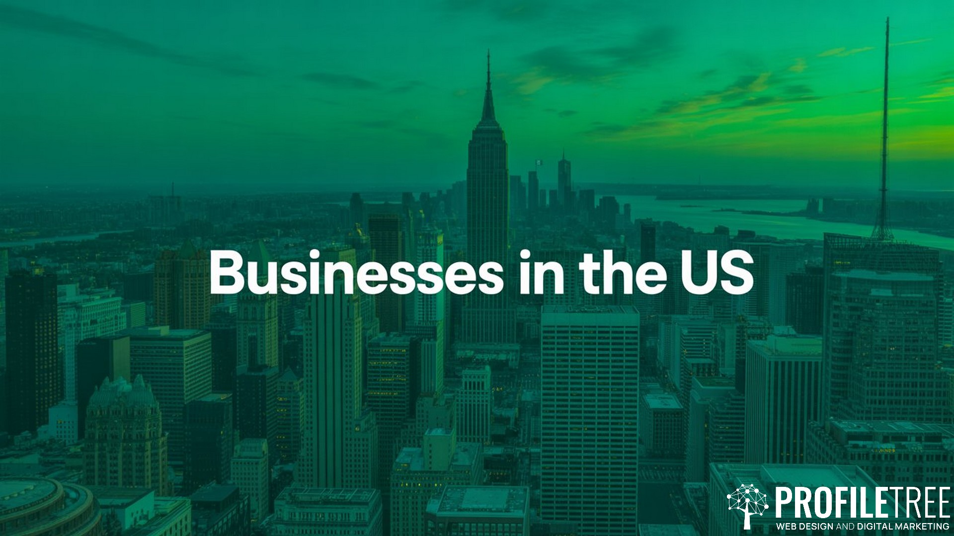 Statistics of US Businesses, US Business Model