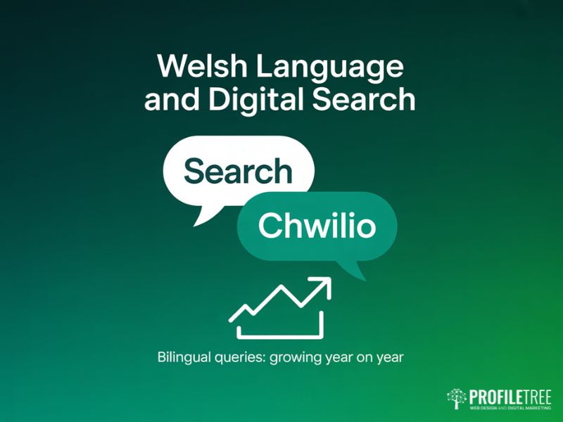 Digital user behaviour in Wales and the growing impact of Welsh language search queries on bilingual SEO strategy